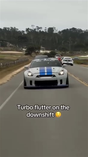 A happy accident running into Tanner Fox on 17 Mile Drive