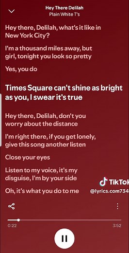 Hey There Delilah - Plain White T's #singing #spotify #karaoke #lyrics #fyp