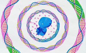 【TED-Ed】你从父母那里没有遗传来的基因（但也离不开它们）@柚子木字幕组