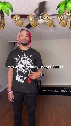 How Many Monkeys Do You See? Test Your Observation Skills!