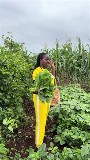 Organic Vegetables from Our Countryside Garden: Farm to Table