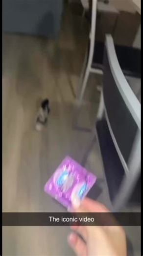 SOUTH CAROLINA CHICKS on Instagram: "girls helping girls fr"