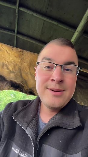 Understanding the Meaning of Miigwetch in Ojibwe Language