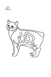 Manx Cat coloring page ♥ Online and Print for Free!