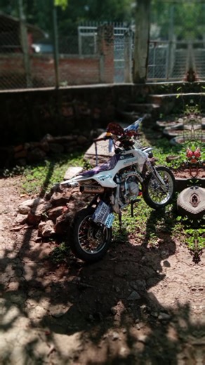 Videos de the_perlita_blanca (@the_perlita_blanca) con “Guaya - Cosculluela”