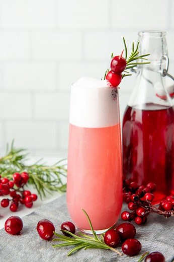 Cranberry Gin Fizz