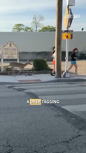 Two joggers were joined by an unexpected guest while going for a morning run in Ohio. | KETV NewsWatch 7