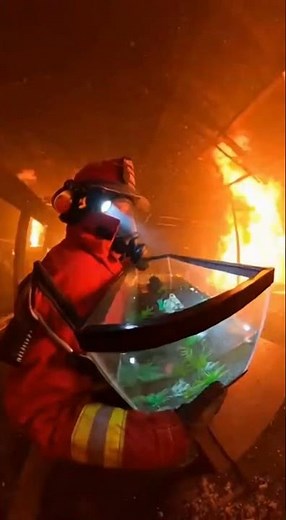 POV: Firefighter Rescues Fish While a Teen Girl Cries Outside 🚒🐟🔥. #firefighter #fish #animalrescue