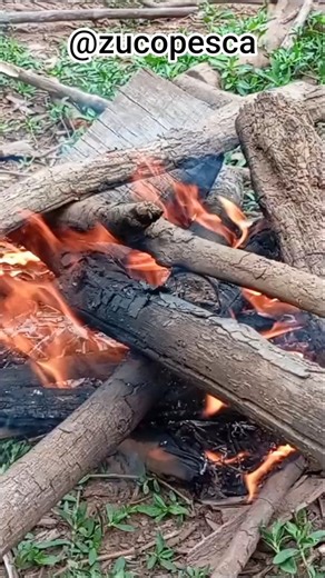 #acampamento de luxo em prevê