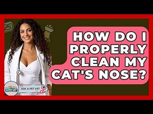 How Do I Properly Clean My Cat's Nose? - Ask A Pet Vet