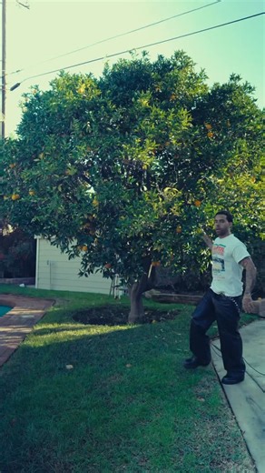 comment essay to read my first hand experience in Minneapolis #explore #fyp #usa #minneapolis #ice | Vic Mensa