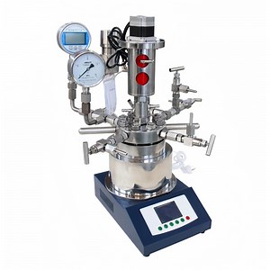 [Hot Item] 100ml to 500ml mini laboratory stirred autoclave reactor Mini lab reactor laboratory pressure reactor Lab autoclave reactor