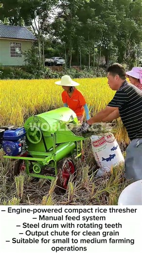 Modern Rice Thresher in Action