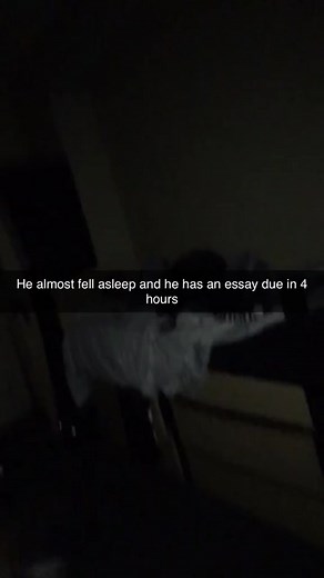 college in a nutshell 😅 (via: @cashcropboy)