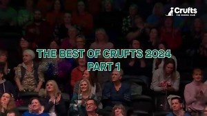 Blistering agility, police dogs on patrol and an Irish Wolfhound 💨🚨🇮🇪 It's Part 1 of our favourite moments from Crufts 2024, so far! #Crufts #Crufts2024 | Crufts