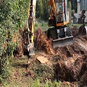 18K views · 34 reactions | Sawing tree roots with excavator | Giant Machine | Facebook