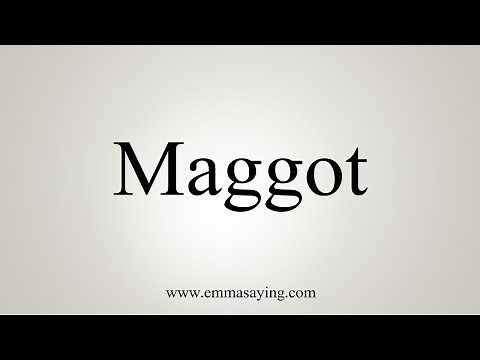 How To Pronounce Maggot