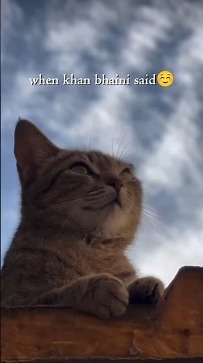 december || khan bhaini || punjabi song status || #khanbhaini #decembersongs #punjabistatus