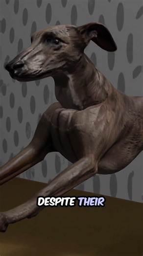 Greyhound: The Fastest Dog Breed with a Gentle Heart