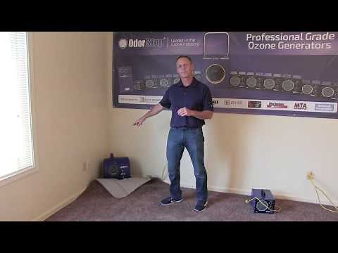 How to Dry Carpet Easily without Removing It