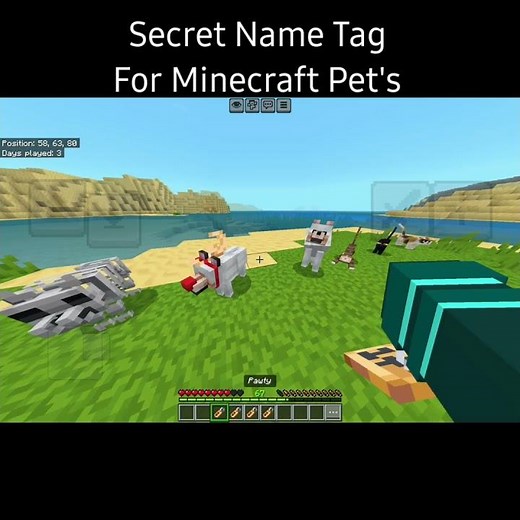 Hidden Name Tag Trick for Your Minecraft Pet! 🐱