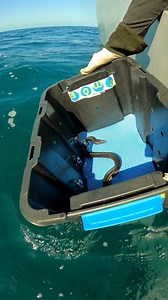 Sea Snake Release 🌊🐍 Since early August our team have been caring for a rescued Yellow-bellied Sea Snake. Last week they had the exciting opportunity to (very carefully) release the snake back into its natural habitat. Whilst our rescue, rehab and release program is primarily for sea turtles, AQWA also cares for other sick or injured marine life, including sea snakes. After an injury to its side was treated by the vets at WA Wildlife, the sea snake was transferred to AQWA where our team contin