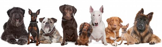 Styles de management : directif, participatif, persuasif, délégatif