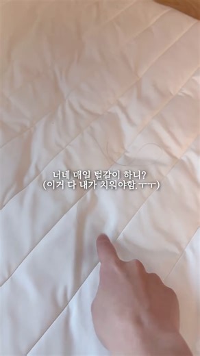 반짝이는하루,다다_이빛나 on Instagram: "에브리봇침구청소기 공구오픈(오전10:00~) 🎁[구매완료 이벤트] 오픈이라 써있는 이미지 페이지에 구매번호 남겨주신 10분께는 추첨을 통해 백화점 상품권 1만원 드릴게요^^* 🎁이번 에브리봇 침구청소기 구입하시는 선착순 분들게 정품 HEPA필터2개입 선물로 드려요!(디엠으로 확인드려요) 어머. 이걸 왜이제서야 안거야. 에브리봇 침구 청소기는 살림 필수템이자 육아 필수템이예요!! ⠀ 가장 마음에 들었던게! ✔️무선이라 엉키는 줄 없이 너무너무 편함. 버튼 한번 누르면 혼자서 청소 싸악해주고요 섬유 깊숙히 박혀있는 먼지, 각질, 진드기 등 ✔️분당 15,000회 회전과 진공흡입으로 남김없이 싹 흡입해주고 ✔️UV LED로 진드기&박테리아 99.9% 제거! 내가 털고 사이사이 먼지 제거하는 것 보다 얘가 일 더 잘해요. ✔️특히, 장애물&낙하방지센서가 있어 높은곳에서도 절대 떨어지지 않아요. 영상 보셔요. 백후진도 아아주 매끄럽게.