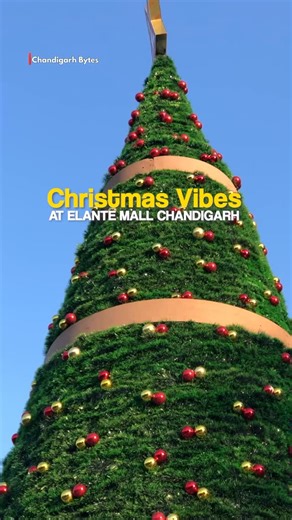 Chandigarh Bytes | Chandigarh Elante Mall is all decked up in Christmas cheer 🎄✨ and Panda World vibes 🐼 lights, décor, and festive energy everywhere! If... | Instagram