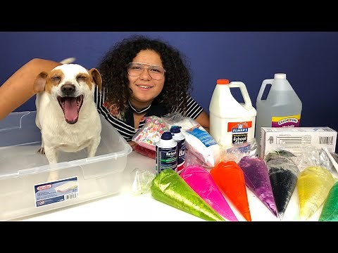 MY DOG PICKS MY SLIME INGREDIENTS