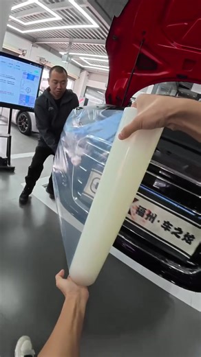 Audi R8 Shock Absorber Replacement Guide