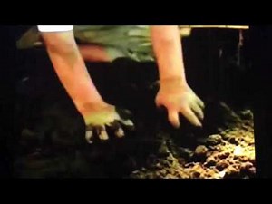 Nick Jr Nugget: Clorox