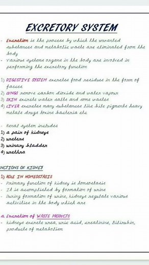 Physiology Notes || Excretory System and Function of Kidney #physionotes #excretorysystem #shorts