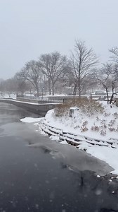 608 reactions · 82 shares | ❄️Snow day in Naperville! ❄️ Crews are plowing, take it slow. | Naperville Community Television (NCTV17) | Facebook