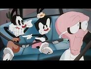 Animaniacs- "I'm Mad" Theatrical Short (1994)