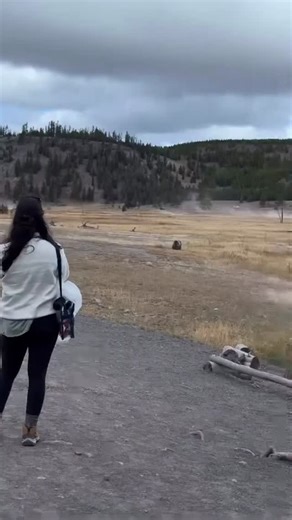 @touronsofnationalparks on Instagram: "🐻👀 Please keep at least 100 yards from Grizzly Bears in Yellowstone 😳‼️ #TouronsOfYellowstone #Yellowstone #TouronsOfNationalParks #YellowstoneNationalPark #BeBearAware #Keep100YardsFromBears #GrizzlyBear #NationalParkService #YellowstoneNP #USNationalParks #NationalParks #YourSafetyIsYourResponsibility #YellowstoneCountry #NationalPark #BeGrizAware #NationalParksUSA #NationalParkLife #NationalParkSystem #USANationalPark #KnowingTheParkRulesIsYourRespons