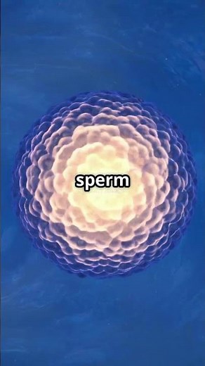 The Incredible Journey Inside: Female reproductive system.