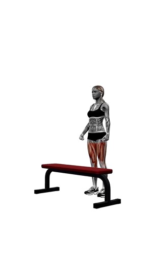 bench alternating step ups.mp4