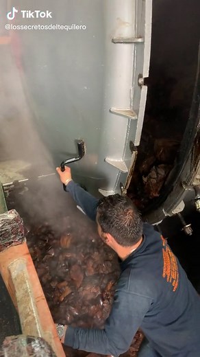 Tequila Autoclave: Curado de Agave Azul