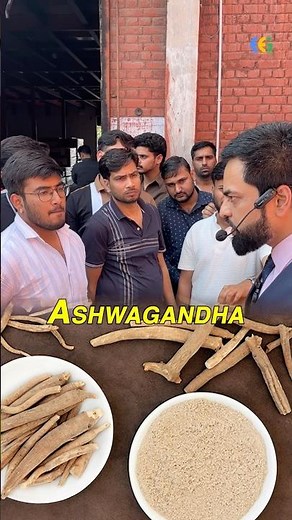 How to export Ashvagandha | import export business | Harsh Dhawan