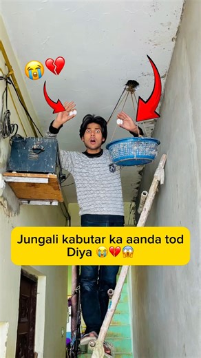 Jungali kabutar ka aanda tod diya 😭💔😱 #minivlog #viral #shorts