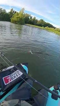 Brochet en surface ! 💥💦 Quelle surprise en cherchant le silure ! #peche #brochet #pike #fishing