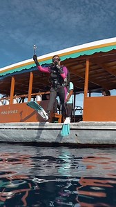 The ability to change anything, changes everything. Experience the power, precision, and personalized customization of the Modular Fin System from Scubapro. 📽️: @meggy.diving Tap link in bio to build your best fin. #scubapro #modularfinsystem #seawingnova #scubadiver #divelife #girlsthatscuba | Scubapro