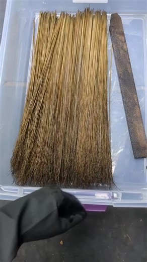 Natural dyes are so labor and time intensive, but some of the colors are just impossible to get with synthetic dyes. This was my first time dyeing with acorns, so I wasn't sure what to expect. There is a large oak that has grown half its canopy over our house and deck. It seems to mast every single year, and this fall alone I collected just shy of 8 lbs of acorns and caps from just our deck. With that many acorns I figured it was a good time to see how well the broomcorn would take up those tast