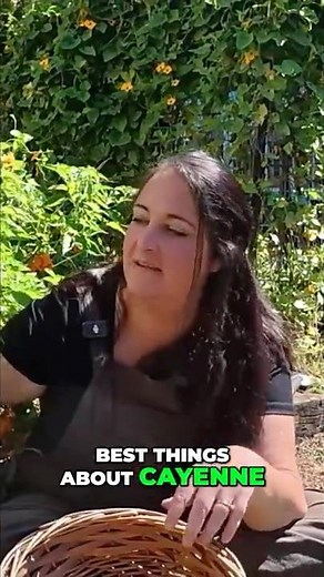 The Herb That Wakes Up Nerves (Cayenne for Neuropathy)