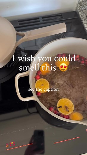 26K views · 99 reactions | Have you tried simmer pot potpourri?! This winter inspired combination is so fragrant and makes the house just feel like Christmas. Do NOT miss my post with the recipe along with the CUTEST way to turn this into a gift! https://www.therurallegend.com/post/stovetop-simmer-potpourri-gift-idea #trlchristmas #christmasgiftideas2023 | The Rural Legend | Facebook