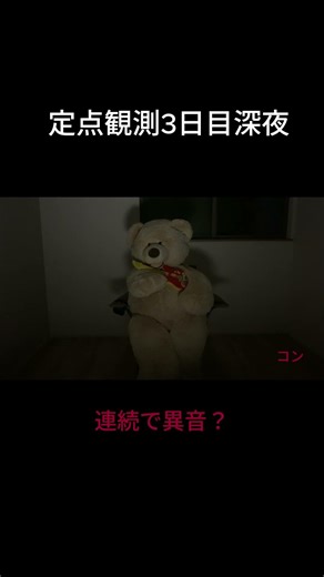 ツクモガミ調査。ラップ音④