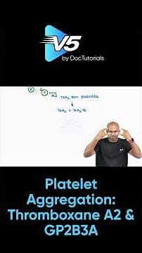Platelet Activation Cascade: Thromboxane A2 & GP2B3A in Clot Formation Explained