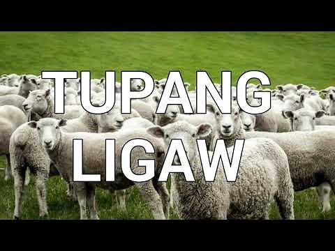 Tupang Ligaw | Beautiful Tagalog Christian Song