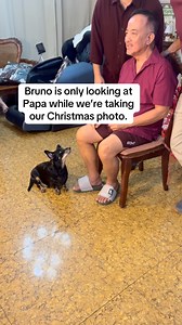 Bruno and Papa 🎄🐶 #Christmas #Dog #DogPhilippines #CuteDog #Bruno | Our Pets' Life
